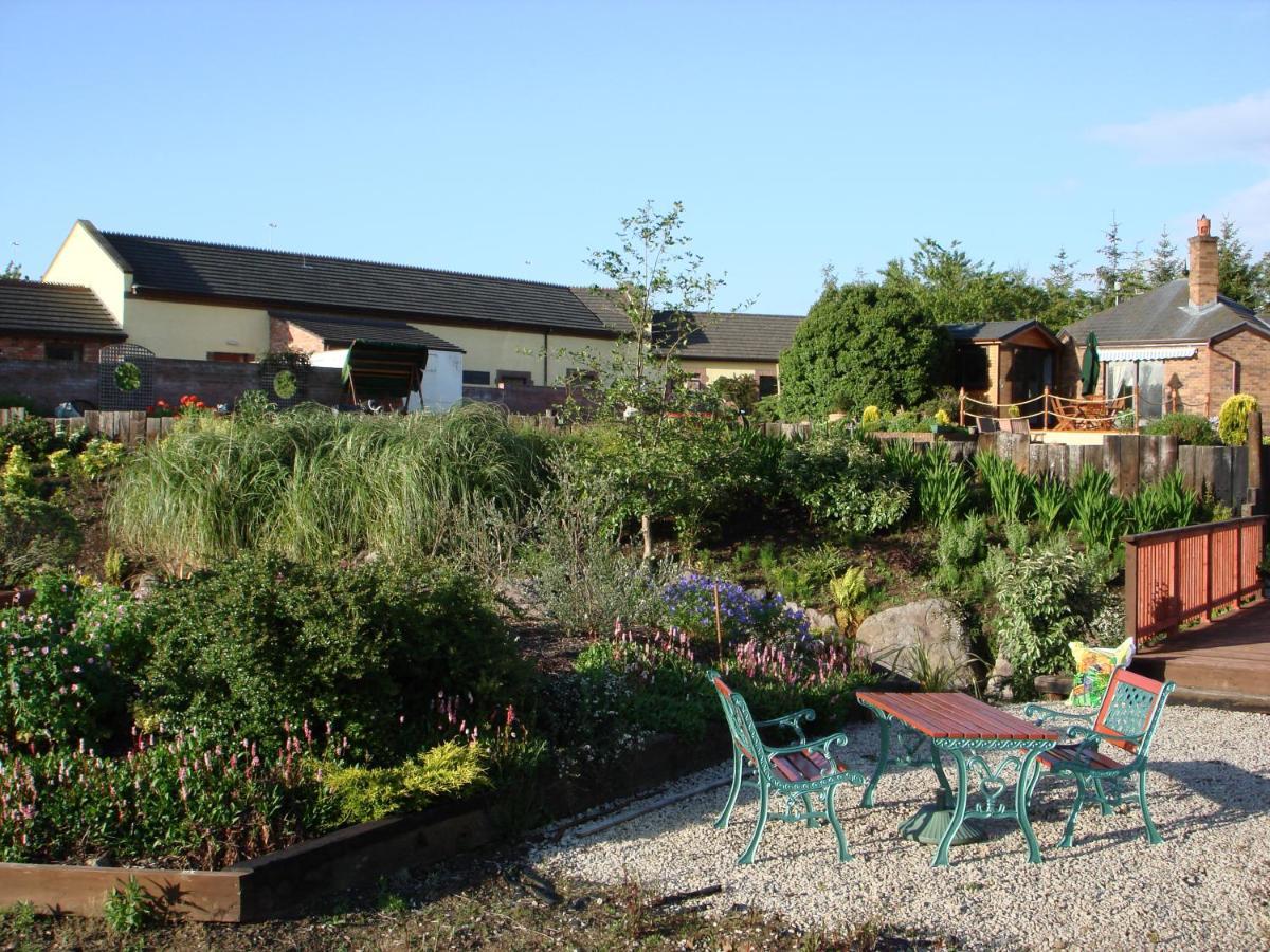 The Stables B&B Antrim Exteriör bild